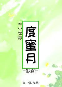 去小世界度蜜月[快穿]封面